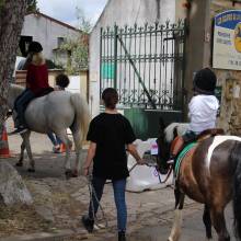 Après-midi portes ouvertes des Écuries de la Vallée de Chevreuse