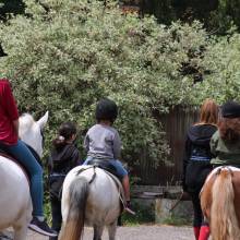 Après-midi portes ouvertes des Écuries de la Vallée de Chevreuse