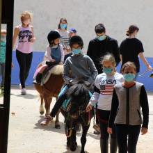 Après-midi portes ouvertes des Écuries de la Vallée de Chevreuse