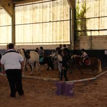 Après-midi portes ouvertes des Écuries de la Vallée de Chevreuse