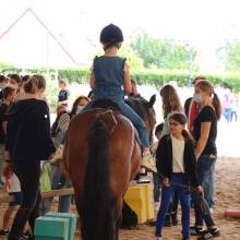 Après-midi portes ouvertes des Écuries de la Vallée de Chevreuse