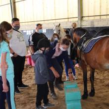 Après-midi portes ouvertes des Écuries de la Vallée de Chevreuse