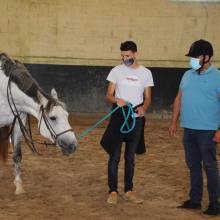 Après-midi portes ouvertes des Écuries de la Vallée de Chevreuse