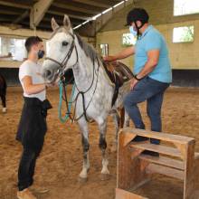 Après-midi portes ouvertes des Écuries de la Vallée de Chevreuse