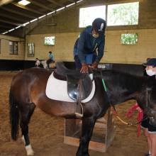 Après-midi portes ouvertes des Écuries de la Vallée de Chevreuse