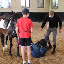 Après-midi portes ouvertes des Écuries de la Vallée de Chevreuse
