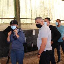 Après-midi portes ouvertes des Écuries de la Vallée de Chevreuse