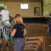 Après-midi portes ouvertes des Écuries de la Vallée de Chevreuse