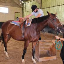 Après-midi portes ouvertes des Écuries de la Vallée de Chevreuse