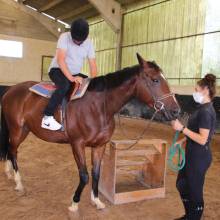 Après-midi portes ouvertes des Écuries de la Vallée de Chevreuse