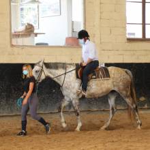 Après-midi portes ouvertes des Écuries de la Vallée de Chevreuse