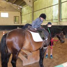 Après-midi portes ouvertes des Écuries de la Vallée de Chevreuse