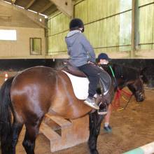 Après-midi portes ouvertes des Écuries de la Vallée de Chevreuse