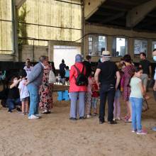 Après-midi portes ouvertes des Écuries de la Vallée de Chevreuse