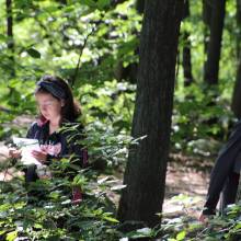 Evadez-vous cet été • L'arbre et la forêt