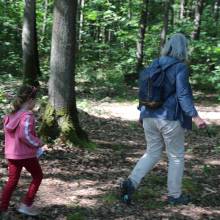 Evadez-vous cet été • L'arbre et la forêt