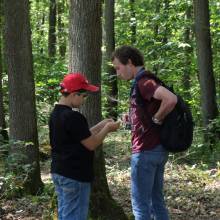 Evadez-vous cet été • L'arbre et la forêt