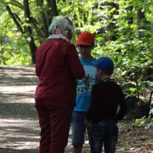 Evadez-vous cet été • L'arbre et la forêt
