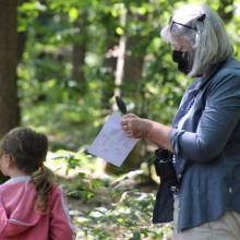 Evadez-vous cet été • L'arbre et la forêt