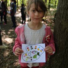 Evadez-vous cet été • L'arbre et la forêt