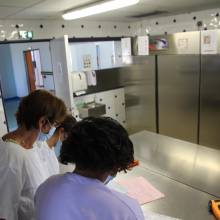 La restauration dans les accueils de loisirs