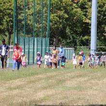 Thranshumance des mules Guiness et Tempête