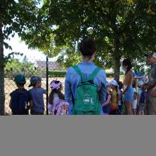Thranshumance des mules Guiness et Tempête