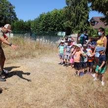 Thranshumance des mules Guiness et Tempête