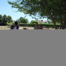 Thranshumance des mules Guiness et Tempête