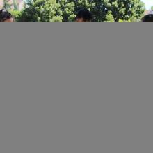 Thranshumance des mules Guiness et Tempête