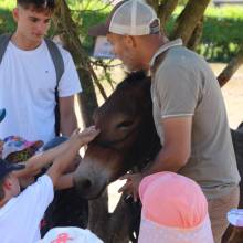 Thranshumance des mules Guiness et Tempête
