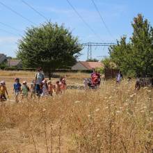 Thranshumance des mules Guiness et Tempête