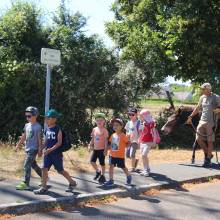 Thranshumance des mules Guiness et Tempête