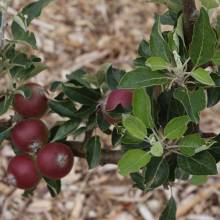 Découverte des nouvelles installations sportives de la Plaine de Chevincourt
