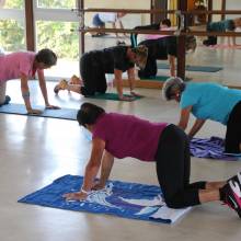 Reprise des cours de gym seniors