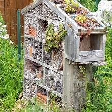 Hôtel à insectes dans l'une des parcelles des jardins familiaux