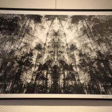 Parcours d'artistes de l'association Helium