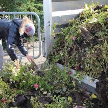 Distrihution des fleurs par les jardiniers communaux