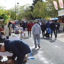 Foire à la paptate Édition 2020