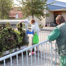Distrihution des fleurs par les jardiniers communaux