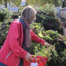 Distrihution des fleurs par les jardiniers communaux