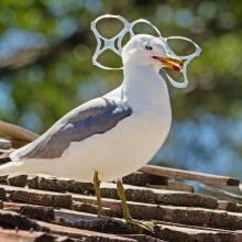 Les dépôts sauvages ont des conséquences 