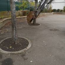 Cours d'école Albert Samain (sols souples)