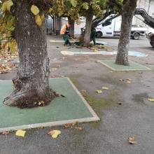 Cours d'école Rosa Bonheur (sols souples)