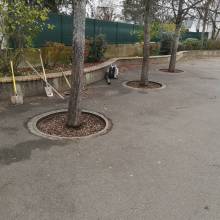 Cours d'école Albert Samain