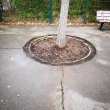 Cours d'école André Gide