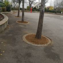 Cours d'école Albert Samain