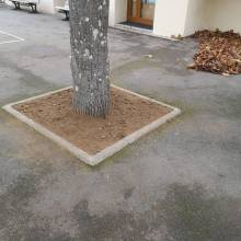 Cours d'école Rosa Bonheur