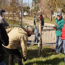 Atelier - taille d'arbres fruitiers