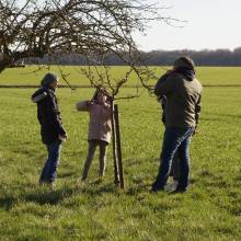 Atelier - taille d'arbres fruitiers